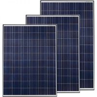 Tấm pin năng lượng mặt trời Poly 55W